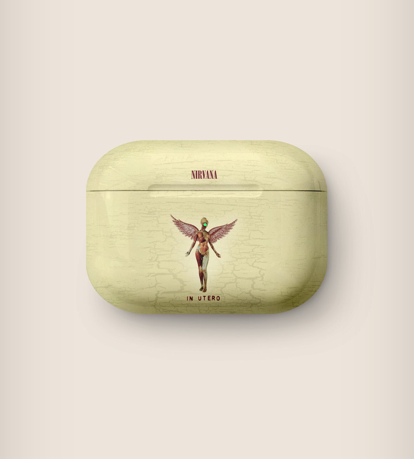 Nirvana In Utero AirPods Case