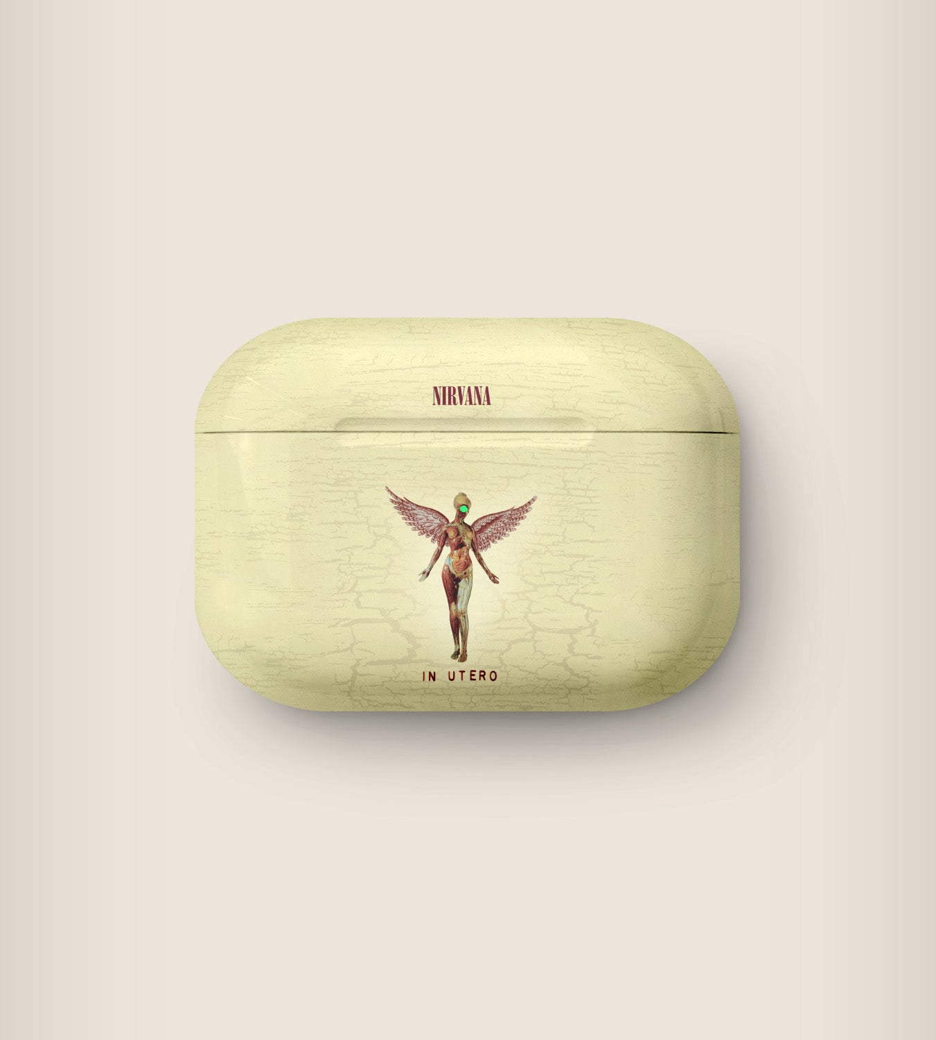 Nirvana In Utero AirPods Case